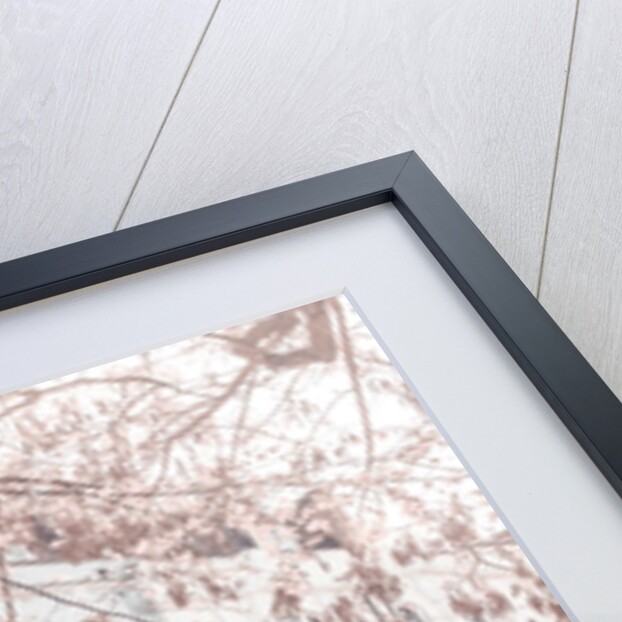 Building on Portobello road by Assaf Frank